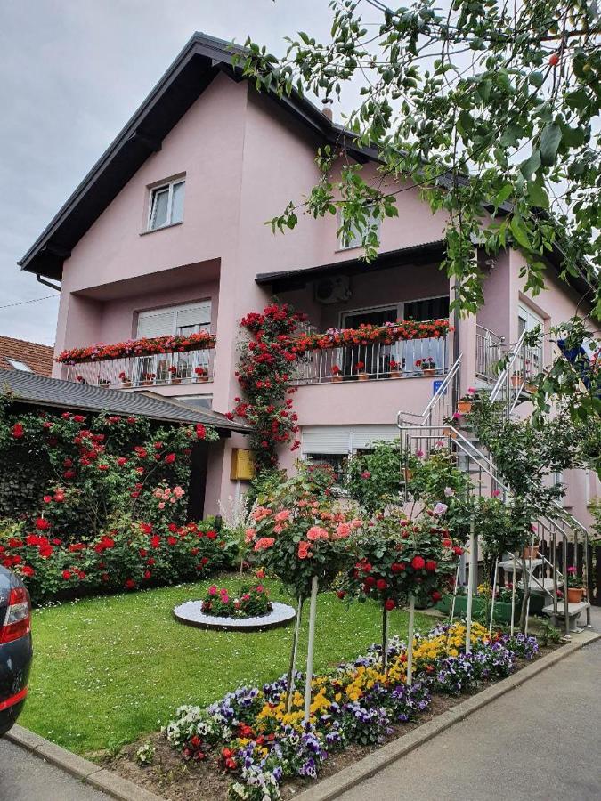Apartment Vesna *
